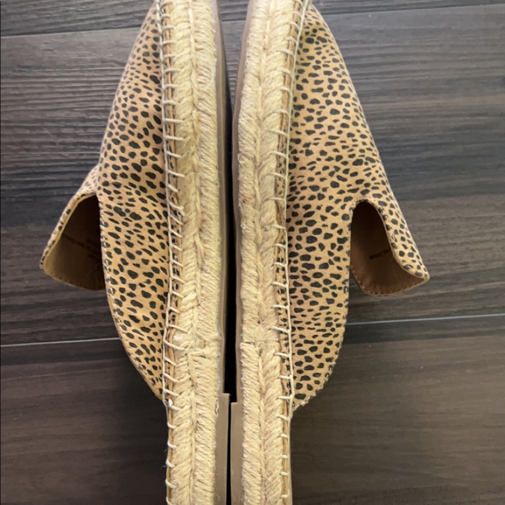 Leopard Slides - Picture 2 of 4